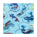koi_bordspel_kois.webp