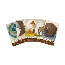 cascadia_jr_kaarten.webp