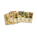 catan_kaartspel_impressie.webp