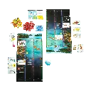 finspan_bordspel_overzicht2.webp