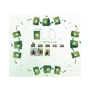 forest_leader_kaartspel_overzicht.webp